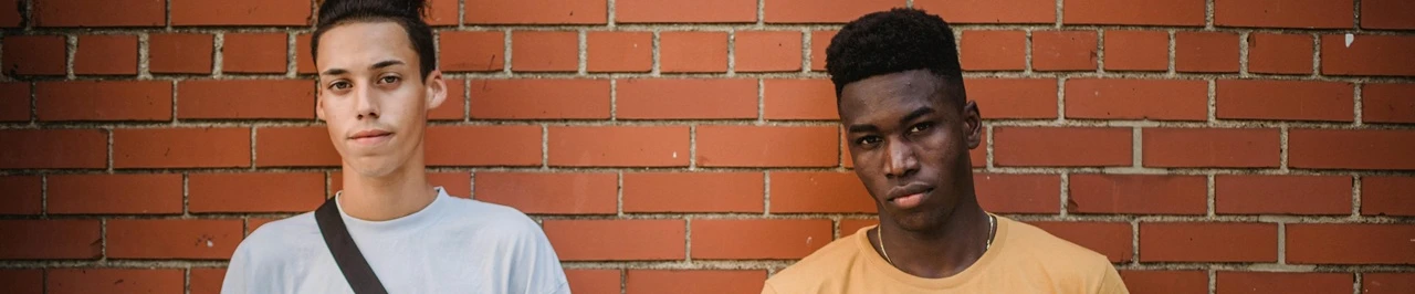 Header image